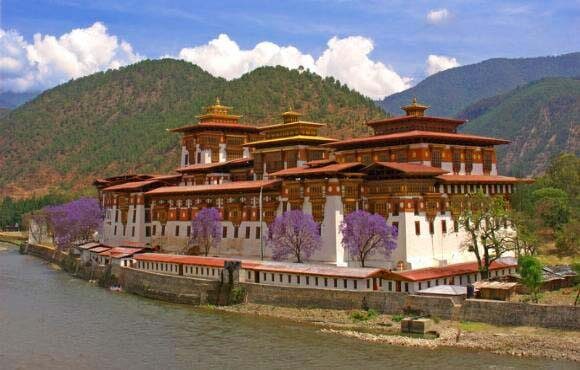 Chele La Pass rhododendron blooms and mountain views